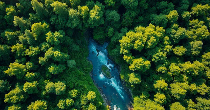 Transforme seu Negócio com um Programa de Gerenciamento de Riscos Ambientais Eficaz Transforme seu Negócio com um Programa de Gerenciamento de Riscos Ambientais Eficaz
