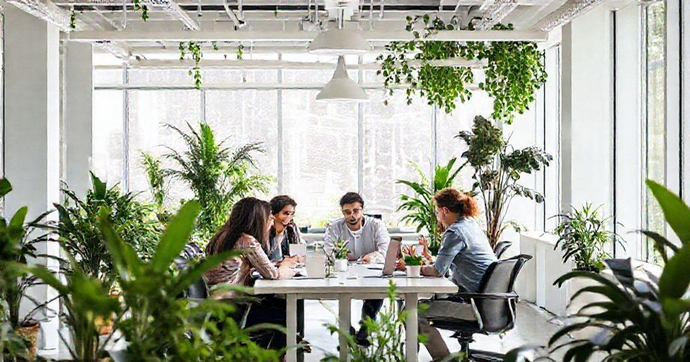 Como Criar um Ambiente de Trabalho Produtivo e Inspirador