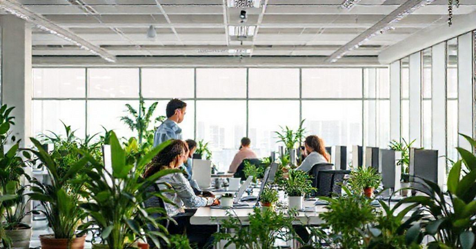 Melhore o Ambiente de Trabalho: Estratégias Eficazes para Impulsionar Produtividade e Bem-Estar